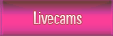 Livecams